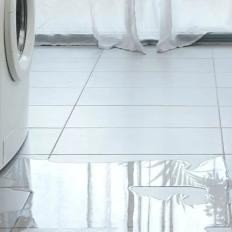 Appliance Leak Cleanup in Hampshire, IL