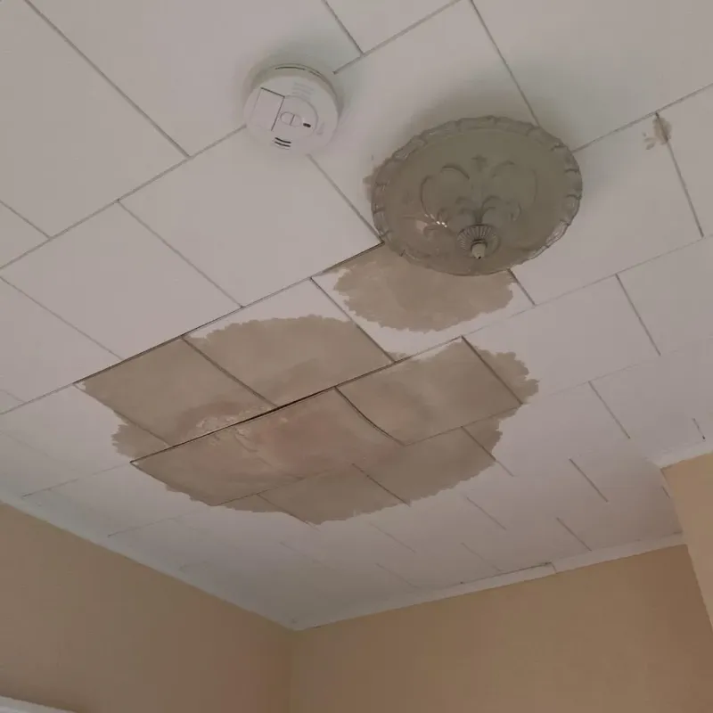 Ceiling Water Damage Repair in Hampshire, IL