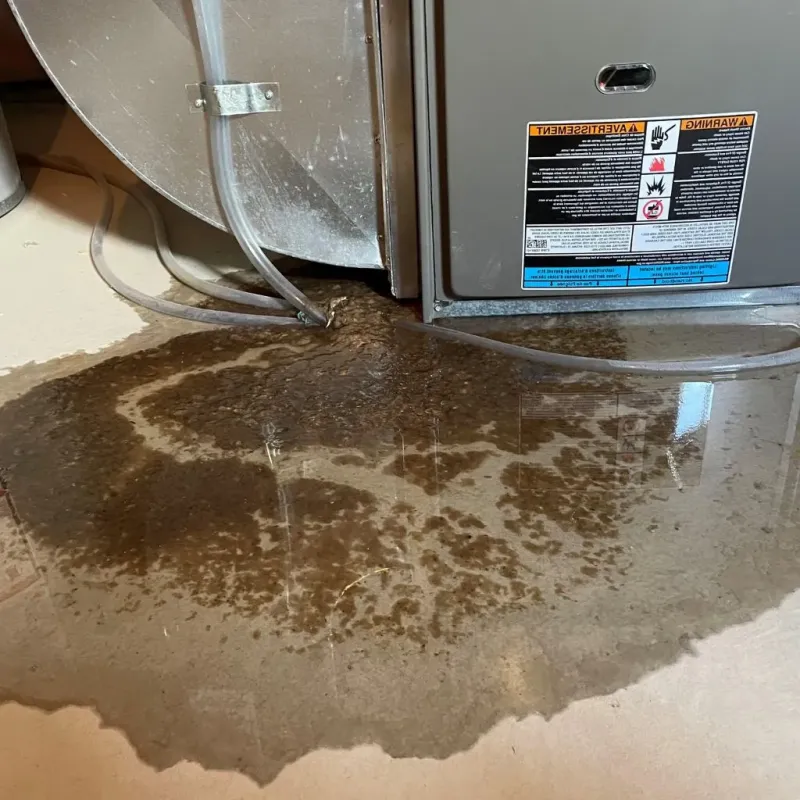 Pipe Burst and Leak Restoration in Hampshire, IL